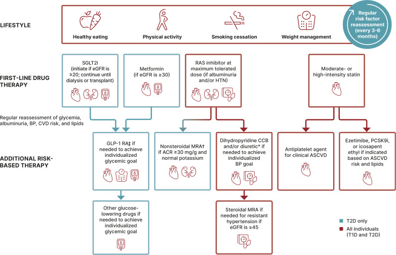 Section 11: Chronic Kidney Disease and Risk Management.