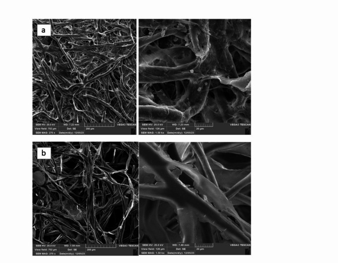 Development and evaluation of Chia seed-based nanofibers and nanoemulsions for Bacillus coagulans Encapsulation.