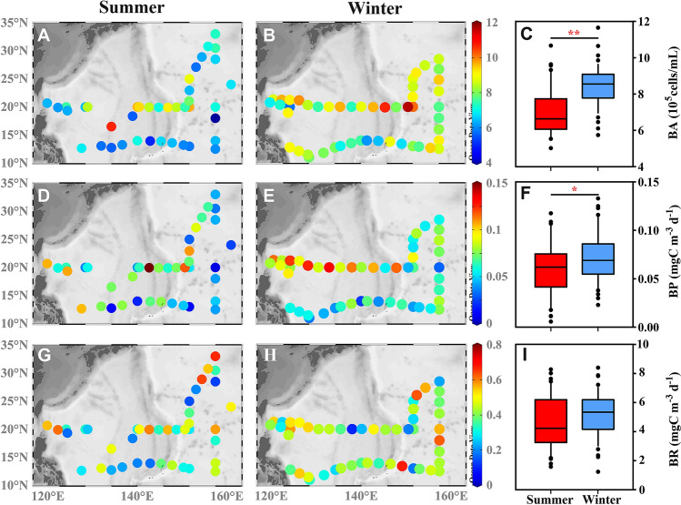 Decoupling of bacterial production and respiration in the surface water of the North Pacific Subtropical Gyre.