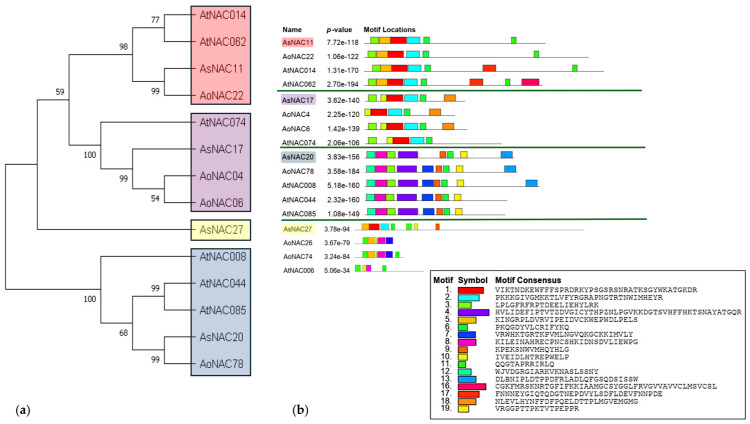 <i>AsNAC</i> Genes: Response to High Mercury Concentrations in <i>Allium sativum</i> Seed Clove.