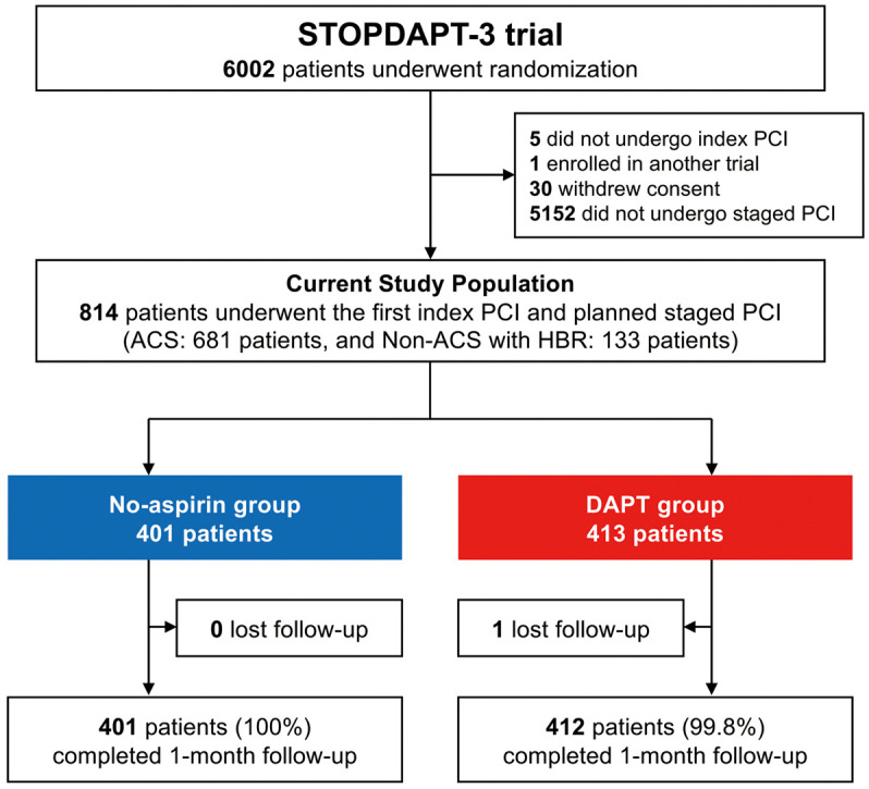 An Aspirin-Free Strategy for Patients Undergoing Staged Percutaneous Coronary Intervention　- A Subgroup Analysis of the STOPDAPT-3 Trial.