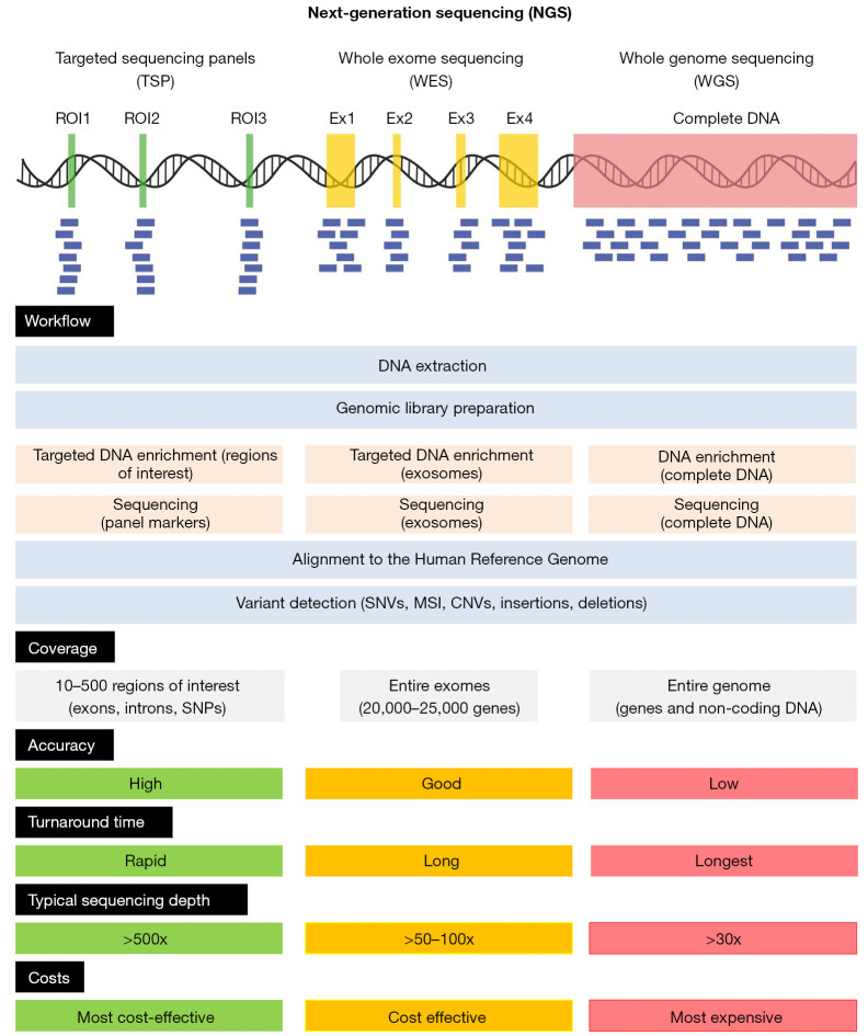 Advances in personalized medicine: translating genomic insights into targeted therapies for cancer treatment.