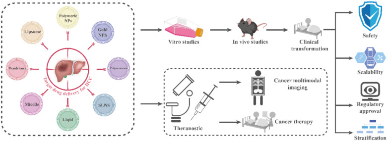 Engineered nanoparticles for imaging and targeted drug delivery in hepatocellular carcinoma.