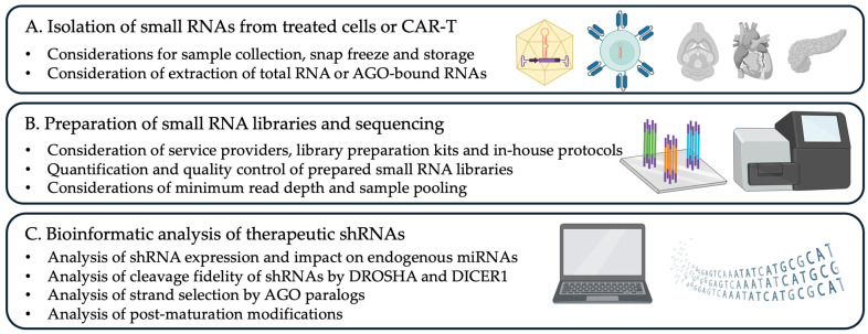 Analysis of Processing, Post-Maturation, and By-Products of shRNA in Gene and Cell Therapy Applications.