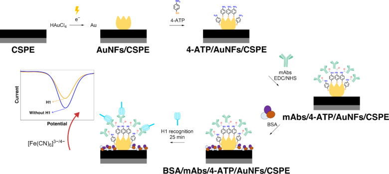 Functionalized gold nanoflowers on carbon screen-printed electrodes: an electrochemical platform for biosensing hemagglutinin protein of influenza A H1N1 virus.