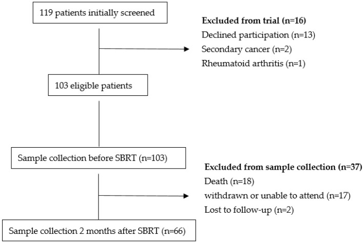 Immune Modulation Through Stereotactic Radiotherapy: The Role of TBX21, GATA-3, FoxP3, and RORɣt.