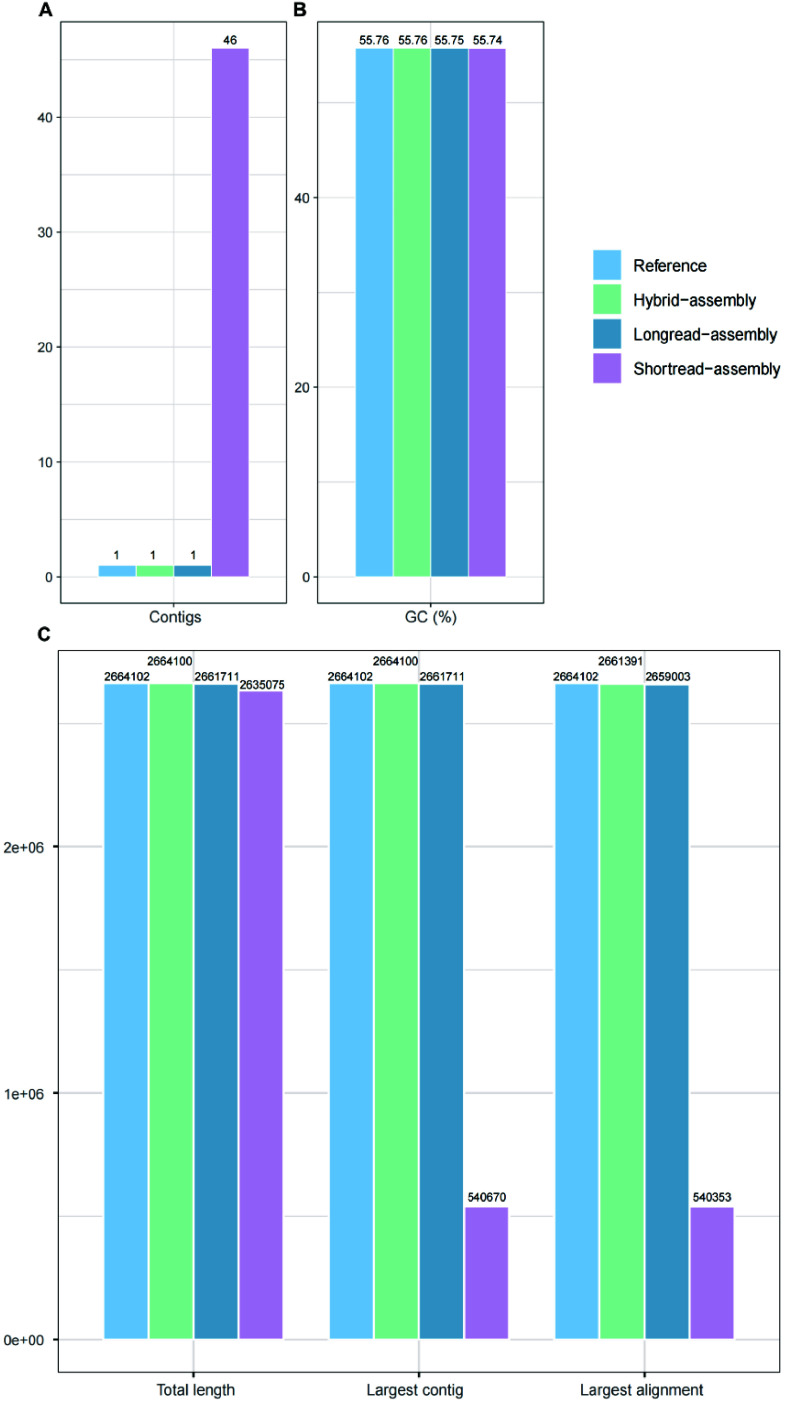 Efficiently constructing complete genomes with CycloneSEQ to fill gaps in bacterial draft assemblies.
