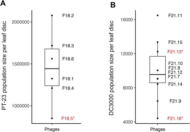 Phages indirectly maintain tomato plant pathogen defense through regulation of the commensal microbiome.