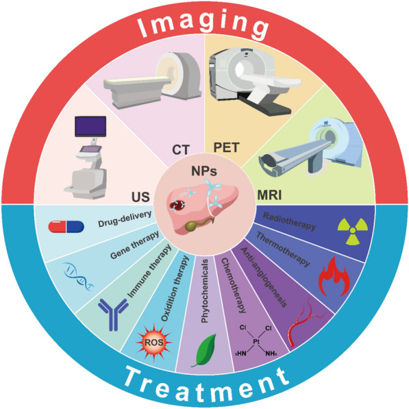 Engineered nanoparticles for imaging and targeted drug delivery in hepatocellular carcinoma.