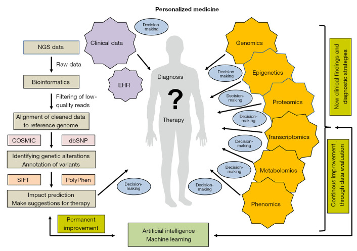Advances in personalized medicine: translating genomic insights into targeted therapies for cancer treatment.