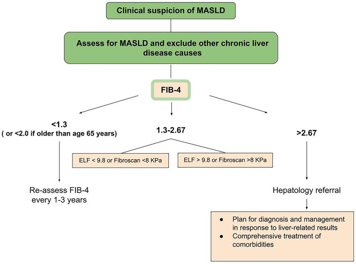 Non-Invasive Tests as a Replacement for Liver Biopsy in the Assessment of MASLD.