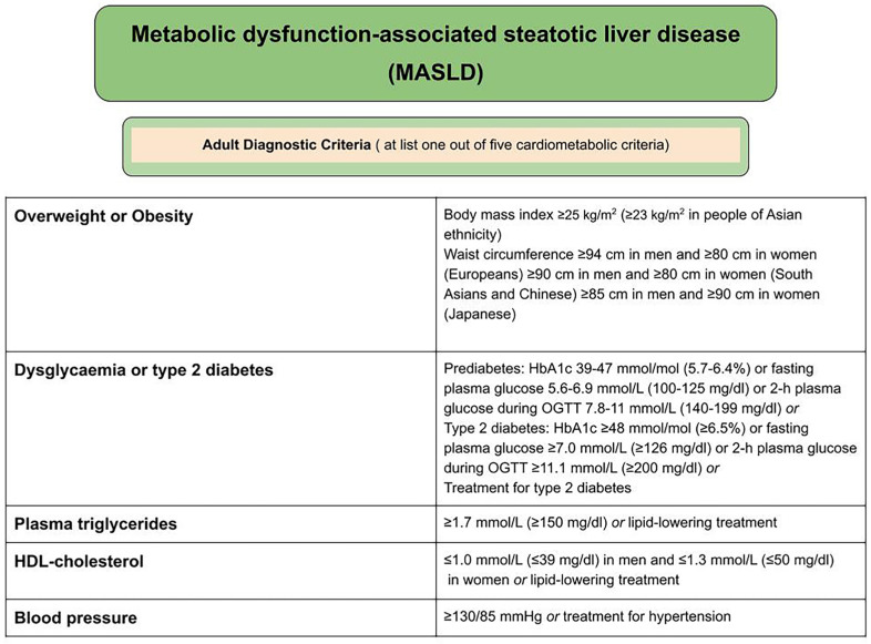 Non-Invasive Tests as a Replacement for Liver Biopsy in the Assessment of MASLD.