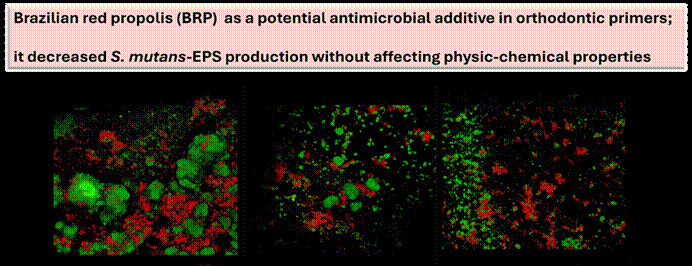 Brazilian red propolis as a potential antimicrobial additive in orthodontic primers.