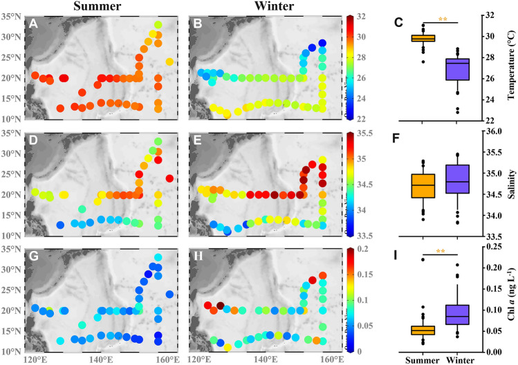 Decoupling of bacterial production and respiration in the surface water of the North Pacific Subtropical Gyre.