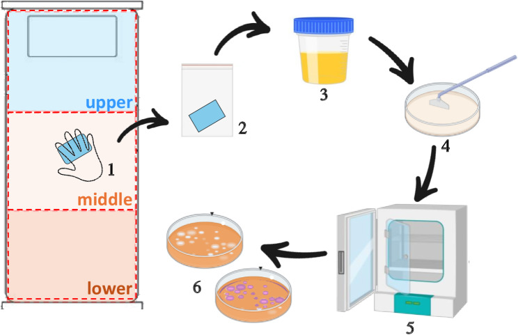 Enhancing bedding hygiene in long-term care facilities: investigating the impact of multilevel antimicrobial polymers (MAP-1) on bacterial and MDRO reduction.