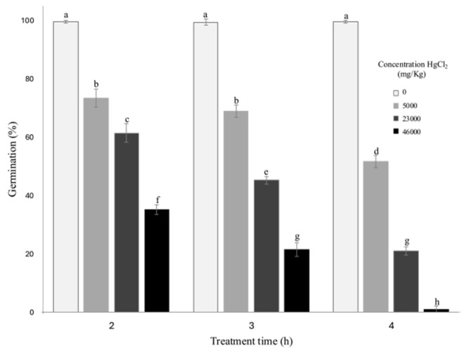 <i>AsNAC</i> Genes: Response to High Mercury Concentrations in <i>Allium sativum</i> Seed Clove.