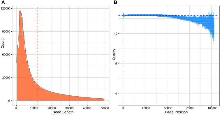 Efficiently constructing complete genomes with CycloneSEQ to fill gaps in bacterial draft assemblies.