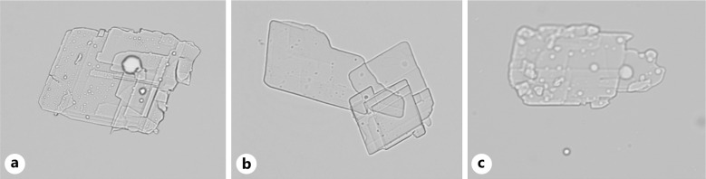 Abstract Image