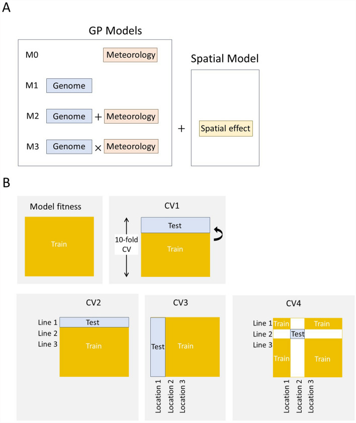 Modelling and Using Spatial Effects in Nationwide Historical Data Improve Genomic Prediction of Rice Heading Date in Japan.