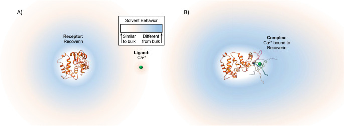 Theoretical Basis for Refractive Index Changes Resulting from Solution Phase Molecular Interaction.