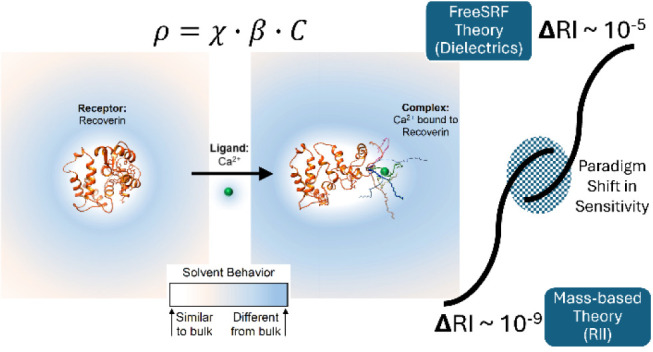 Theoretical Basis for Refractive Index Changes Resulting from Solution Phase Molecular Interaction.