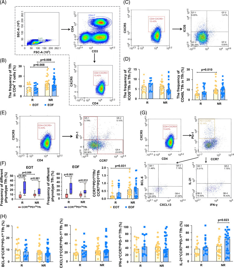 A greater frequency of circulating CCR7loPD-1hi follicular helper T cells indicates a durable clinical cure after Peg IFN-α therapy in chronic hepatitis B patients.