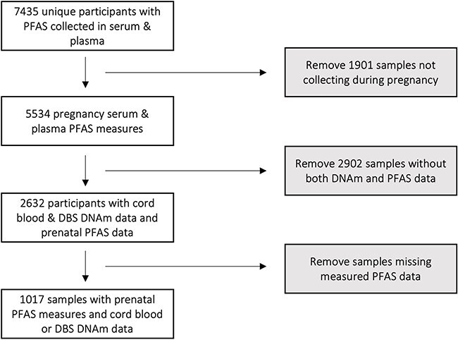 Prenatal per- and polyfluoroalkyl substance exposures and DNA methylation among newborns in the Environmental influences on Child Health Outcomes program.