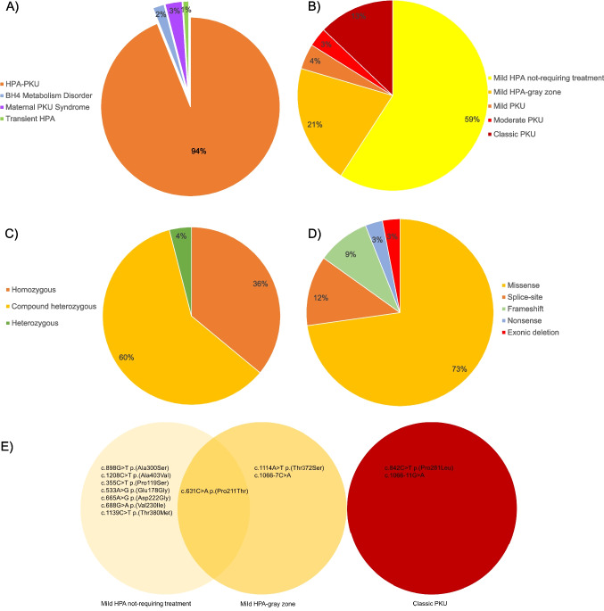 Genotypic and phenotypic characteristics of Turkish patients with phenylalanine metabolism disorders.