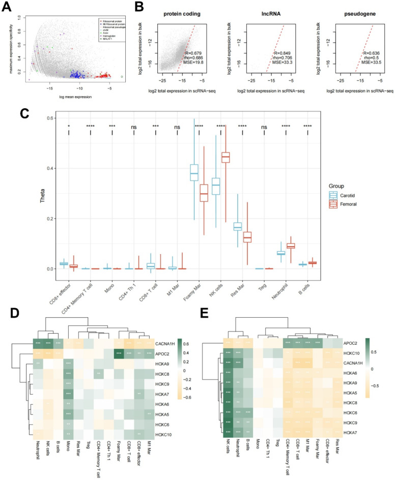 Single-cell transcriptome integrated with genome-wide association study reveals heterogeneity of carotid and femoral plaques and its association with plaque stability.