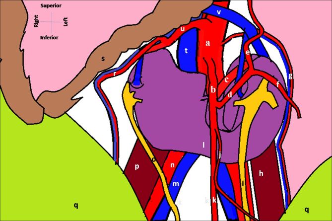 Abstract Image