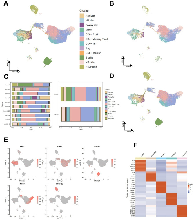 Single-cell transcriptome integrated with genome-wide association study reveals heterogeneity of carotid and femoral plaques and its association with plaque stability.