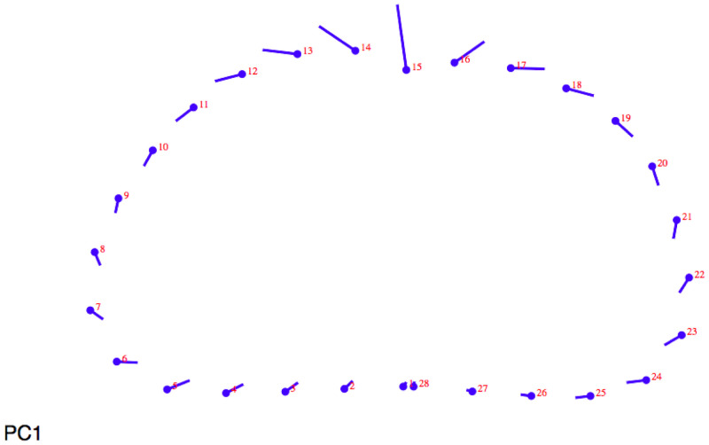 Abstract Image