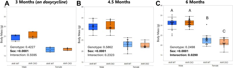 Expression of the aryl hydrocarbon receptor in Osterix-lineage cells regulates adult skeletal homeostasis in a compartment-specific manner.
