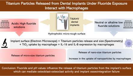 Titanium Particles Released from Dental Implants Under Fluoride Exposure Interact with Macrophages.