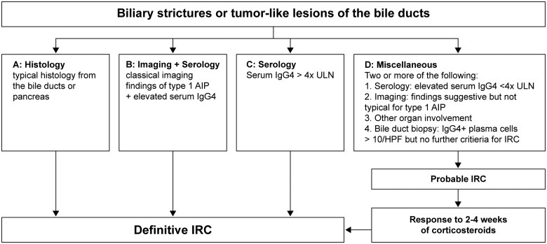 Management of IgG4-related cholangitis: diagnosis, therapy, and long-term surveillance.