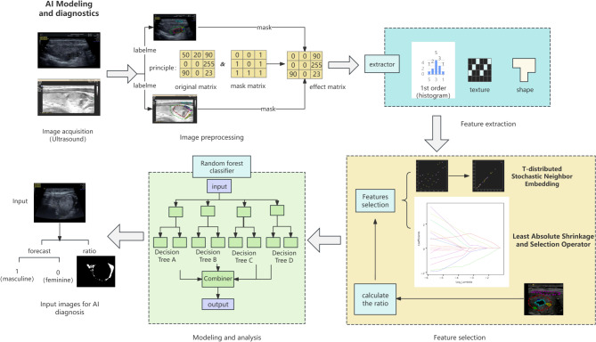 Prediction of Seronegative Hashimoto's thyroiditis using machine learning models based on ultrasound radiomics: a multicenter study.
