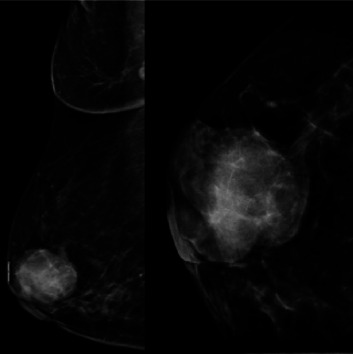 Abstract Image