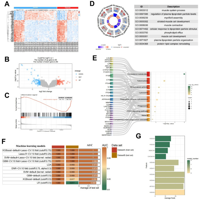 Single-cell transcriptome integrated with genome-wide association study reveals heterogeneity of carotid and femoral plaques and its association with plaque stability.