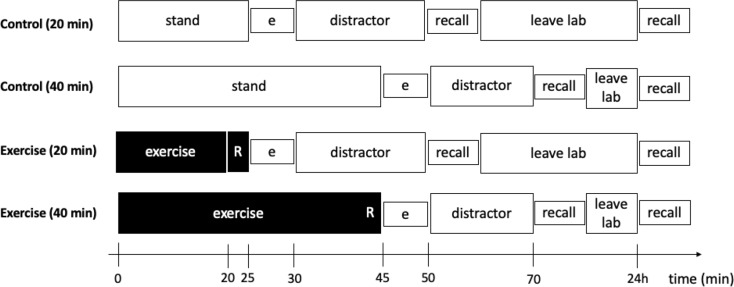 The effects of acute exercise on memory: considerations for exercise duration and participant body mass index.