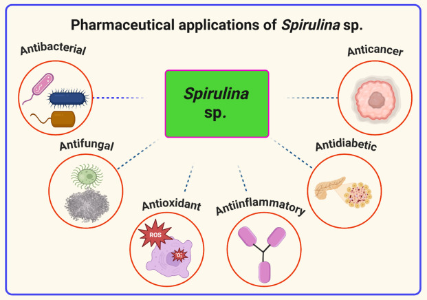 Phycochemistry and pharmacological significance of filamentous cyanobacterium Spirulina sp.