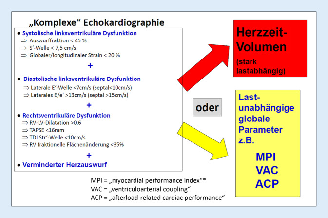 [Septic cardiomyopathy-diagnosis and estimation of disease severity].