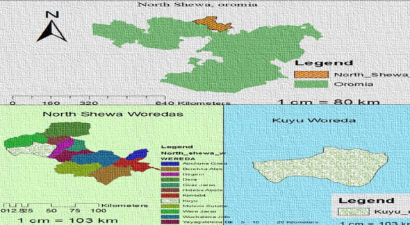 Magnitude of Diabetes Mellitus and Associated Factors Among HIV-Infected Individuals on Follow-Up Care at Kuyu General Hospital, North Shoa, Oromia, Ethiopia.