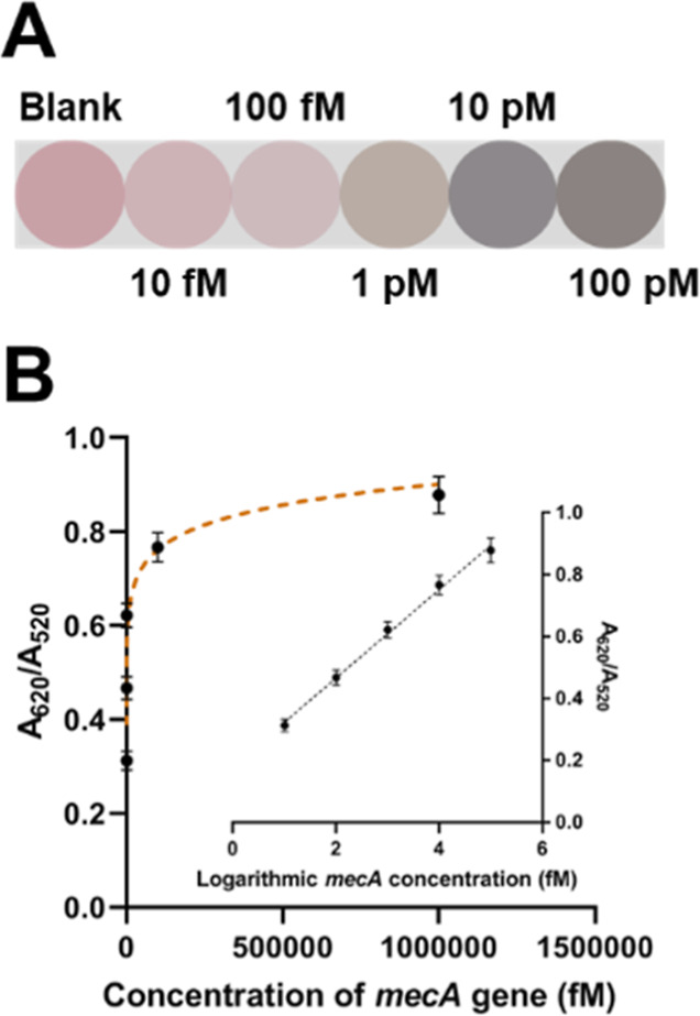 Dual Mode Analysis of Methicillin-Resistant <i>Staphylococcus aureus</i> by the CRISPR/Cas12a-Assisted Exonuclease-Mediated Signal Cycle.