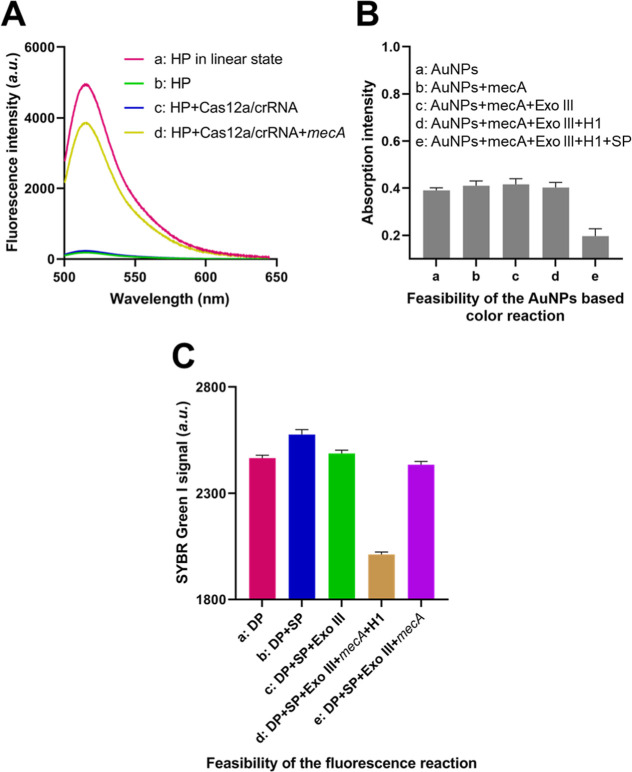 Dual Mode Analysis of Methicillin-Resistant <i>Staphylococcus aureus</i> by the CRISPR/Cas12a-Assisted Exonuclease-Mediated Signal Cycle.