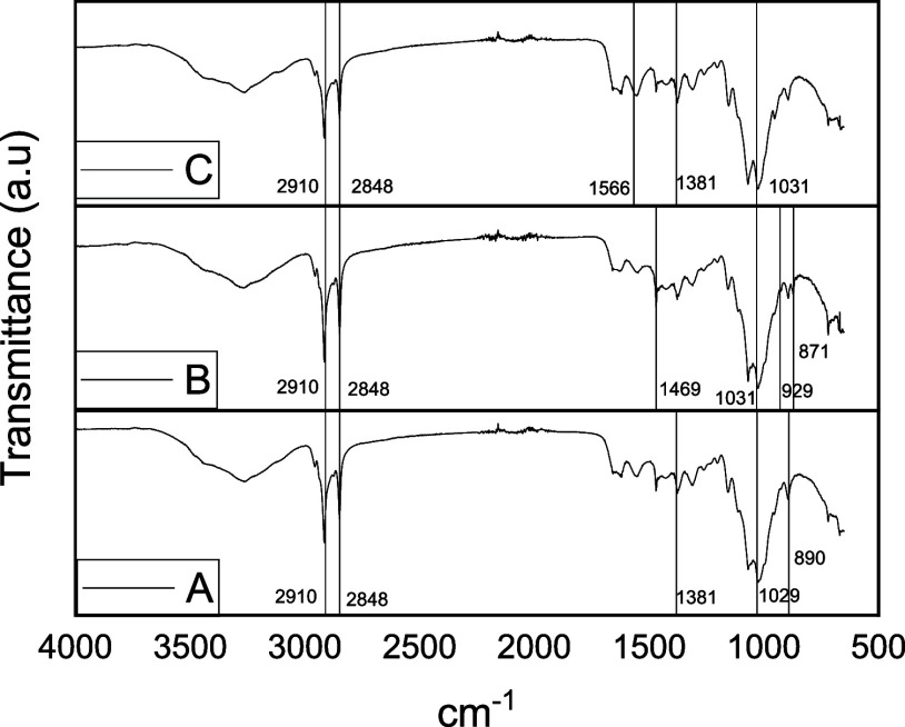 Obtention and Characterization of Chitosan from Exuviae of <i>Tenebrio molitor</i> and <i>Sphenarium purpurascens</i>.