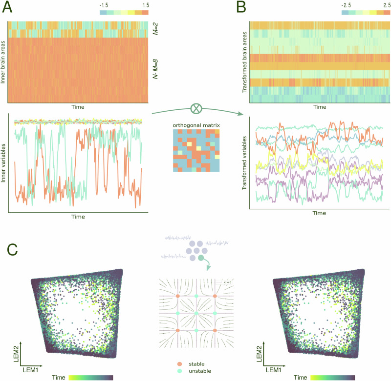 A mechanism for the emergence of low-dimensional structures in brain dynamics.