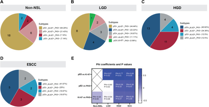 p53 and Ki-67 combined with periodic acid-Schiff staining for the diagnosis of early stage esophageal squamous cell carcinoma lesions in biopsy specimens.