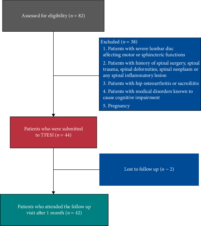 Transforaminal Epidural Steroid Injection in Lumbar Disc Prolapse: Impact on Pain Intensity and Cognitive Function in Relation to MicroRNA-155 Serum Level.