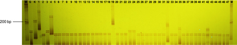 Development of novel InDel markers by whole-genome sequence comparison and genetic diversity assessment of Thailand rice blast fungus populations.