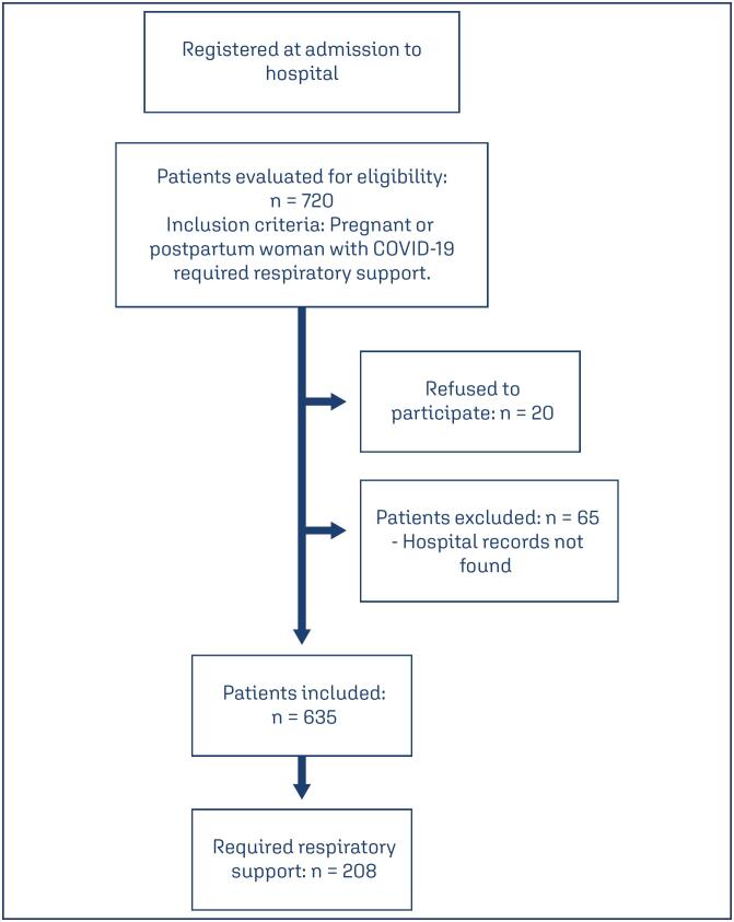 Clinical and epidemiological profile of pregnant and postpartum women affected by COVID-19 who required respiratory support.